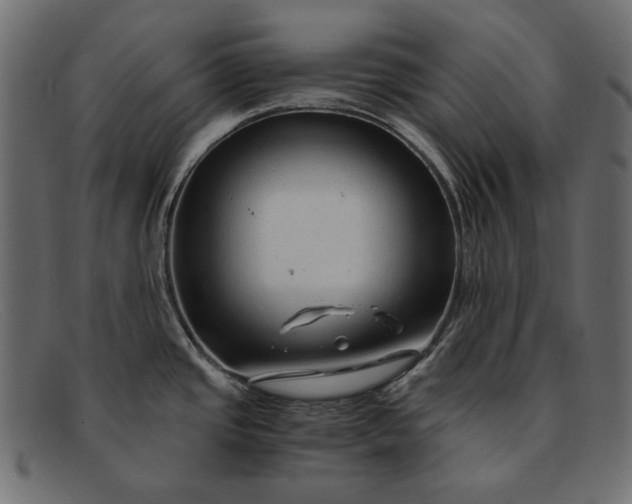 X0000091921437200709191331