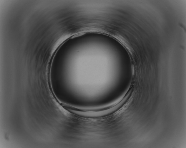X0000091921438200709191331