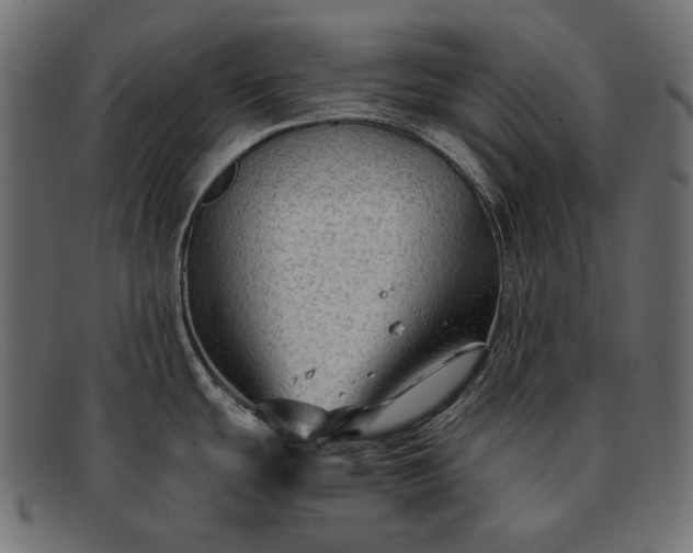 X0000091921439200709191331