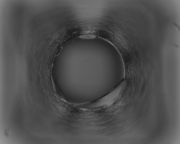 X0000091921441200709191330