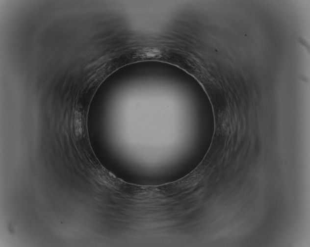 X0000091921442200709191330