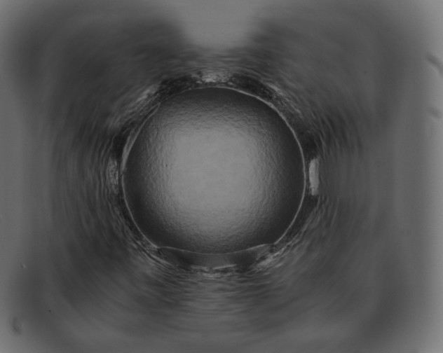X0000091921443200709191330