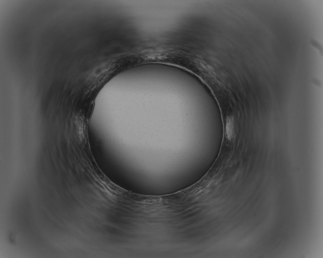 X0000091921444200709191330