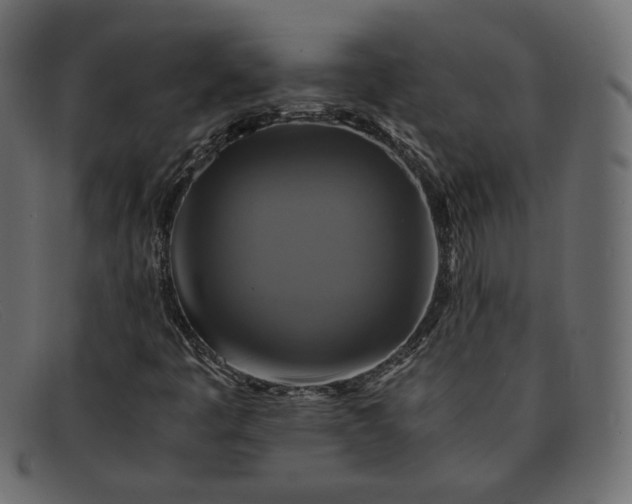 X0000091921445200709191330