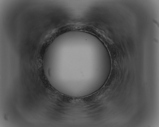 X0000091921447200709191330