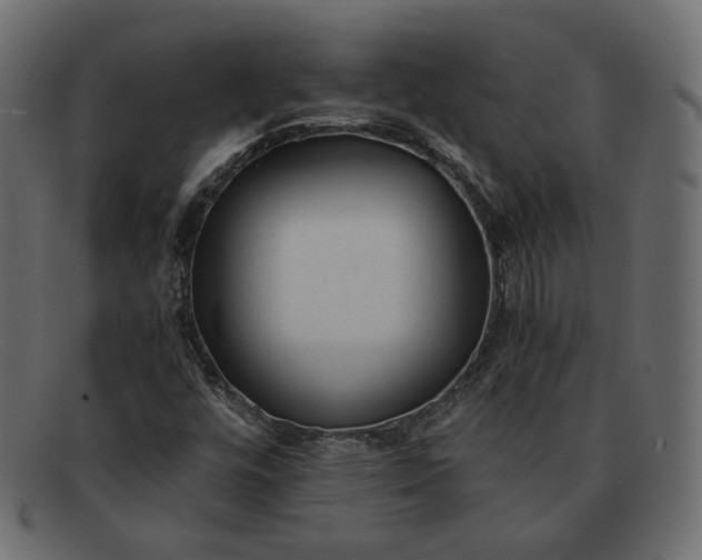 X0000091921448200709191330
