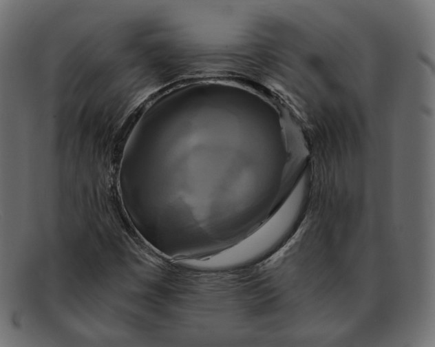 X0000091921449200709191330