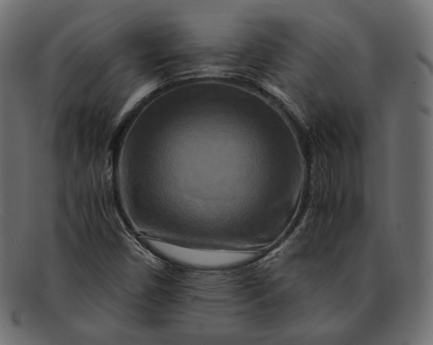 X0000091921450200709191330