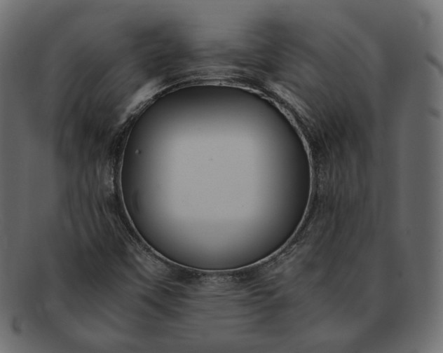 X0000091921451200709191330