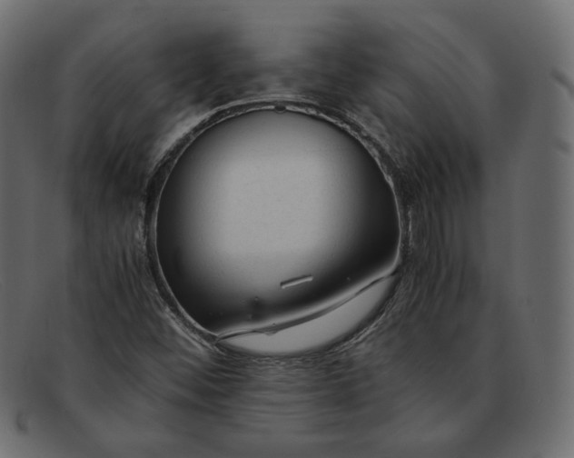 X0000091921452200709191330