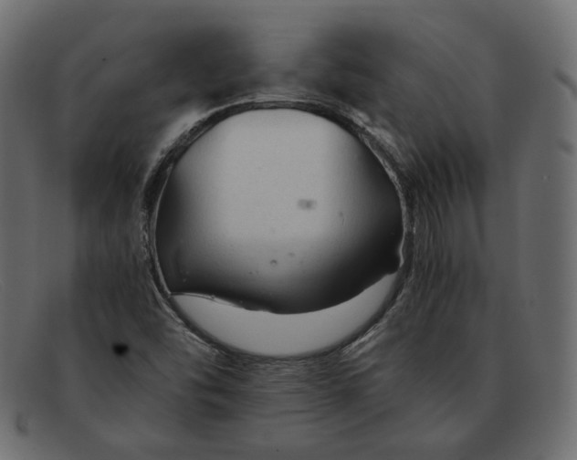 X0000091921454200709191330