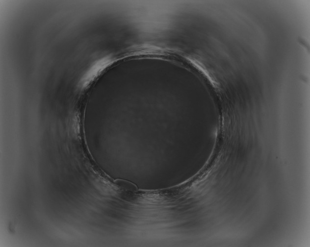X0000091921455200709191330