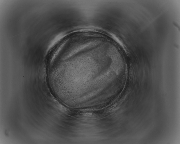 X0000091921456200709191330