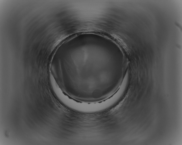X0000091921457200709191330