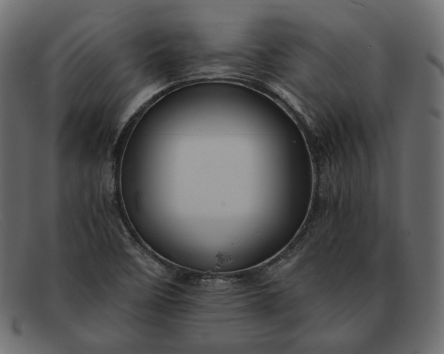 X0000091921458200709191330