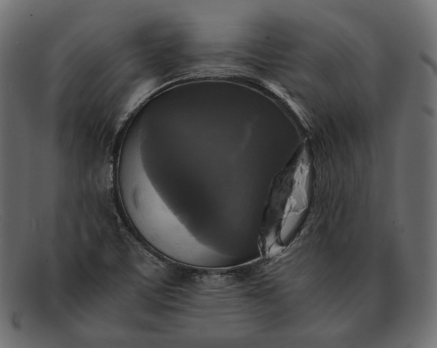 X0000091921459200709191330
