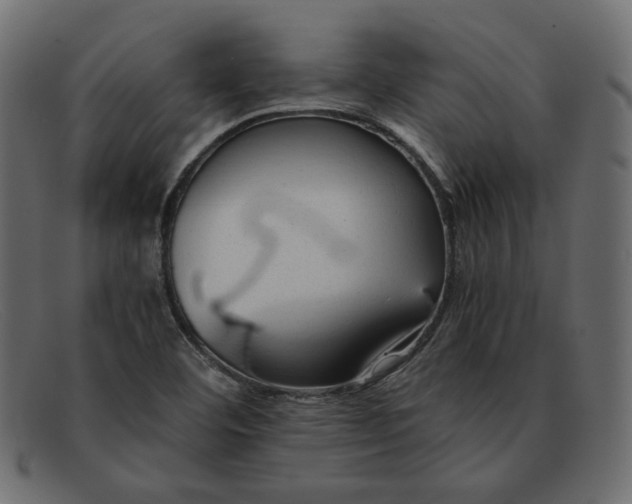 X0000091921460200709191330
