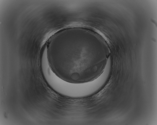 X0000091921461200709191330