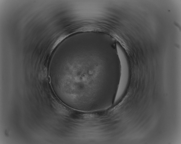 X0000091921465200709191330