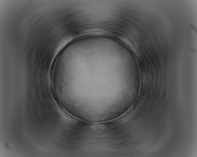 X0000091921466200709191330