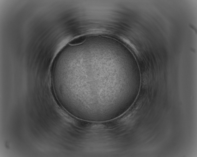 X0000091921467200709191330