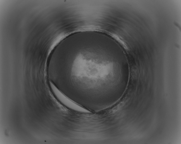 X0000091921469200709191330