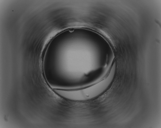 X0000091921472200709191330