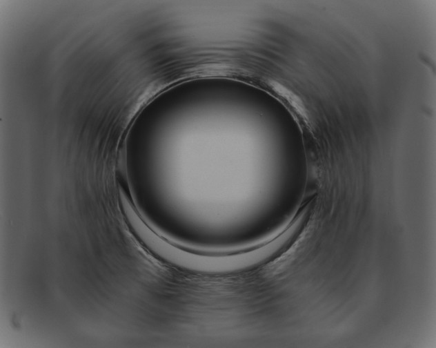 X0000091921473200709191330