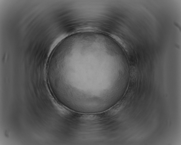X0000091921474200709191330