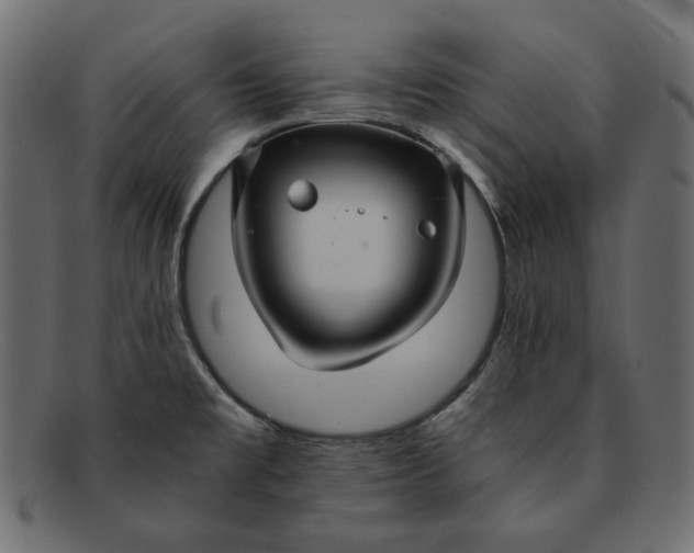 X0000091921477200709191330