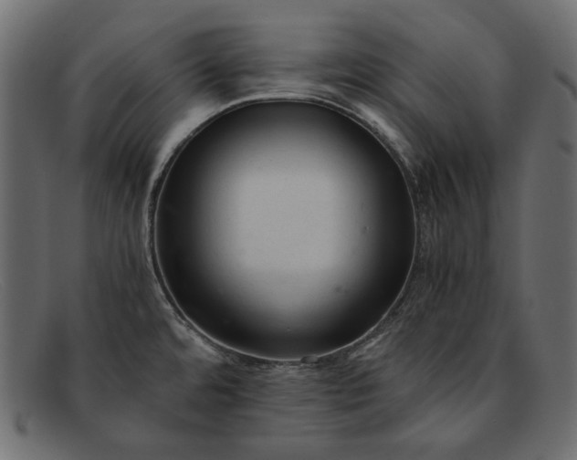 X0000091921480200709191330