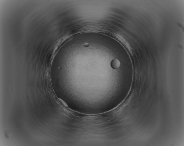 X0000091921481200709191330