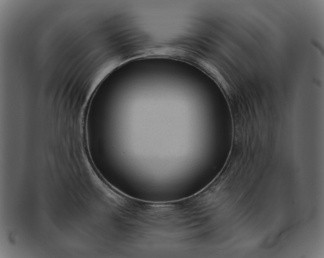 X0000091921483200709191330
