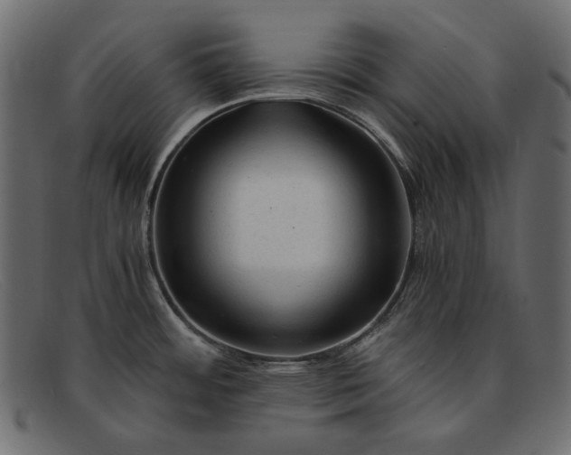 X0000091921484200709191330