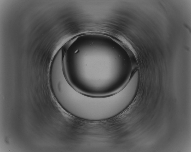 X0000091921485200709191330