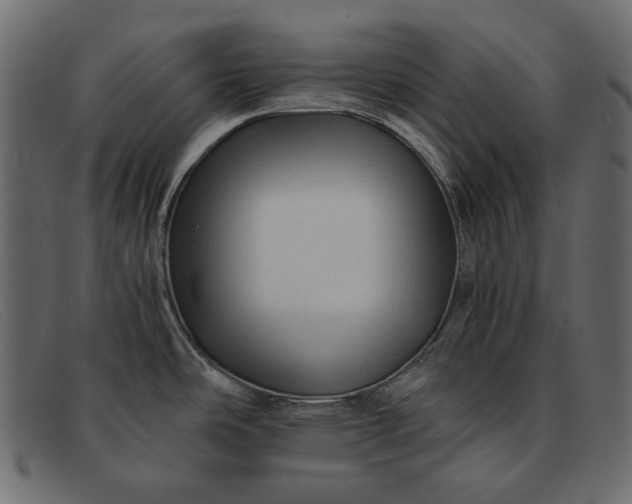 X0000091921486200709191330