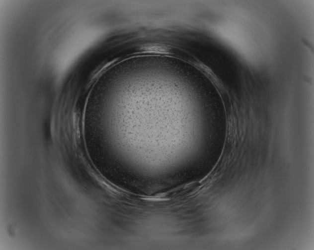 X0000091921487200709191330