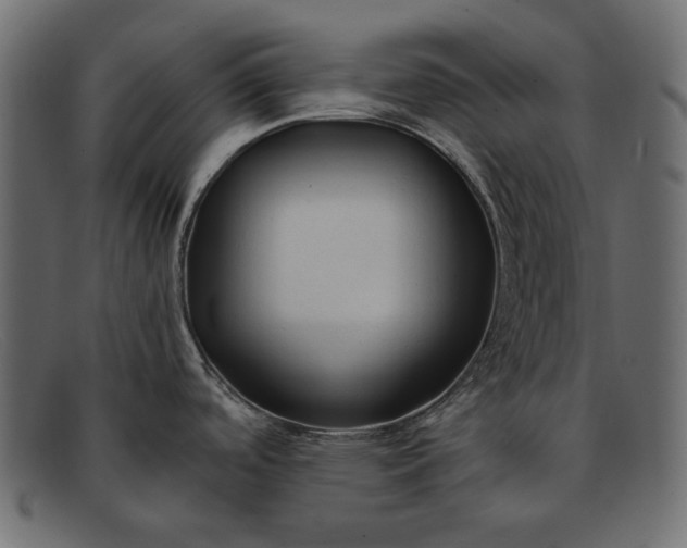 X0000091921488200709191330