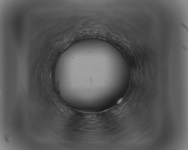 X0000091921489200709191329