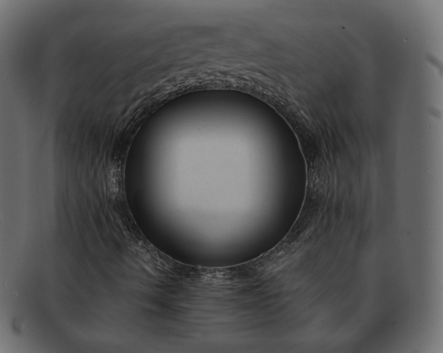 X0000091921490200709191329