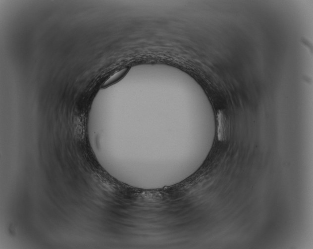 X0000091921491200709191329