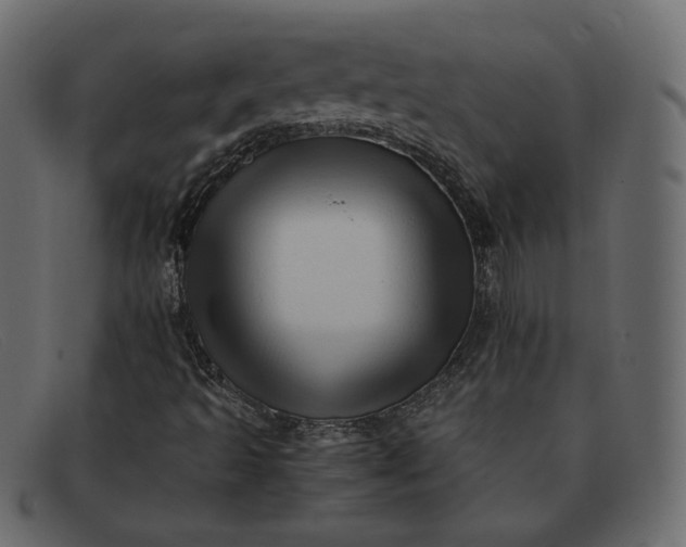 X0000091921493200709191329