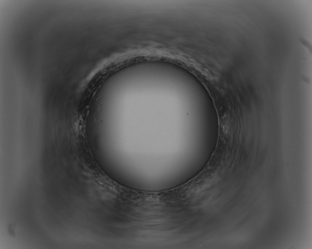 X0000091921495200709191329