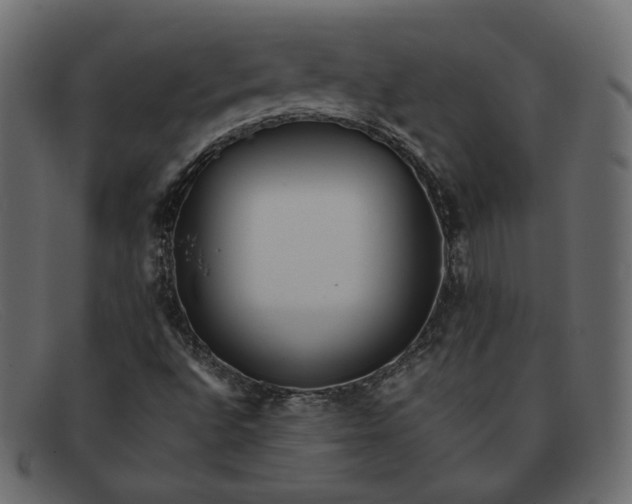 X0000091921496200709191329