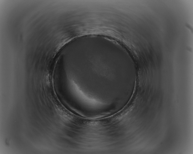 X0000091921497200709191329