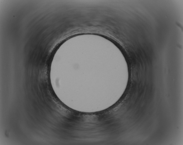 X0000091921498200709191329