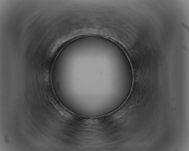 X0000091921499200709191329