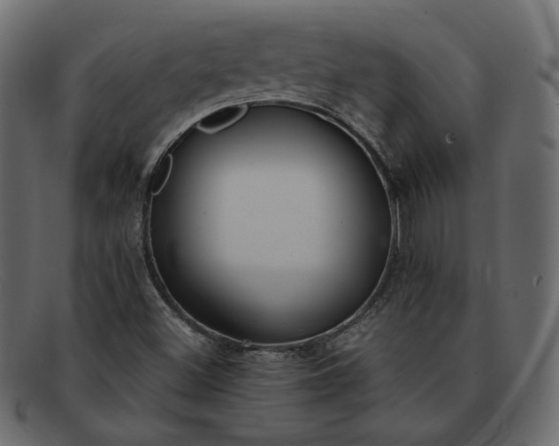 X0000091921500200709191329