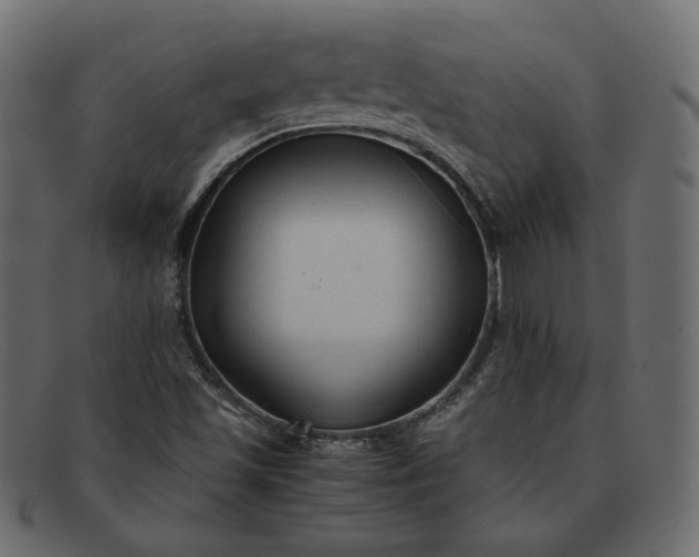 X0000091921501200709191329