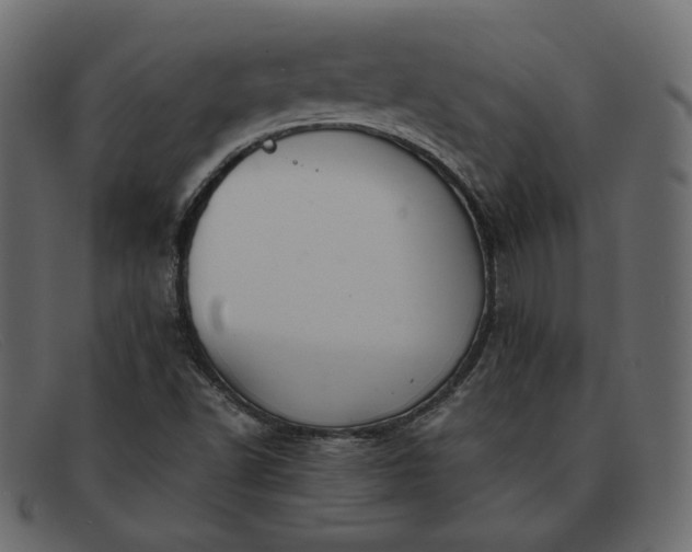 X0000091921502200709191329